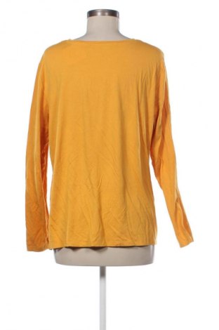 Damen Shirt Betty Barclay, Größe L, Farbe Orange, Preis 10,99 €