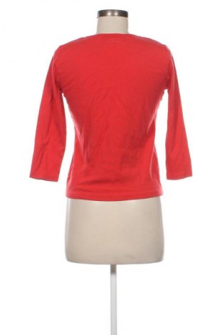 Damen Shirt Betty Barclay, Größe M, Farbe Rot, Preis € 24,55