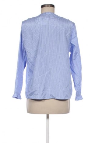 Damen Shirt Colloseum, Größe L, Farbe Mehrfarbig, Preis € 4,99