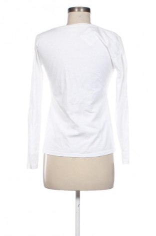 Damen Shirt Fruit Of The Loom, Größe M, Farbe Mehrfarbig, Preis 10,00 €