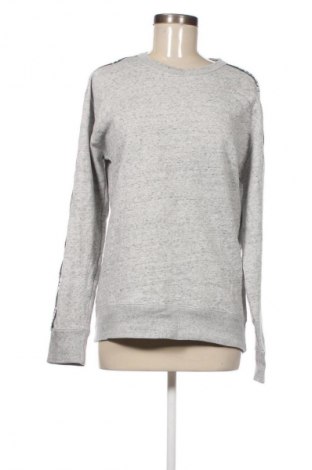 Damen Shirt Hollister, Größe S, Farbe Grau, Preis € 11,99
