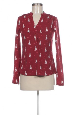 Damen Shirt Jbc, Größe XS, Farbe Mehrfarbig, Preis 4,99 €