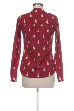 Damen Shirt Jbc, Größe XS, Farbe Mehrfarbig, Preis 4,99 €