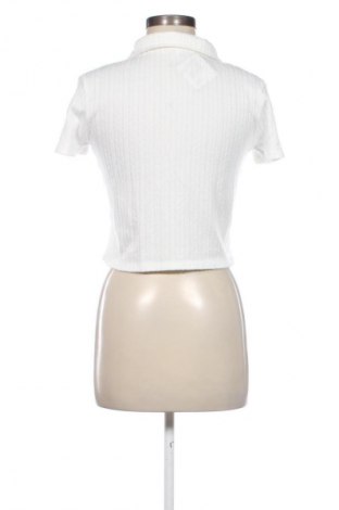 Damen Shirt Koton, Größe M, Farbe Weiß, Preis € 56,34