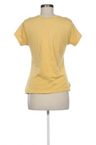 Damen Shirt M&Co., Größe XL, Farbe Orange, Preis € 9,70