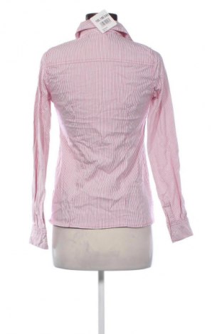 Damen Shirt Mamalicious, Größe S, Farbe Mehrfarbig, Preis € 7,99