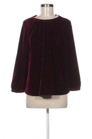 Γυναικεία μπλούζα Mango, Μέγεθος S, Χρώμα Βιολετί, Τιμή 13,81 €