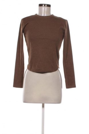 Damen Shirt Massimo Dutti, Größe S, Farbe Braun, Preis € 25,00