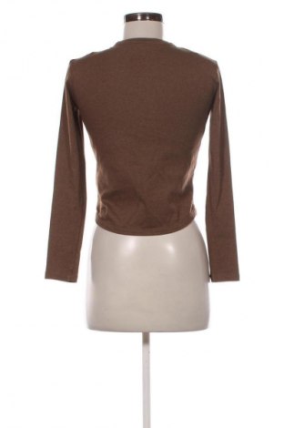 Damen Shirt Massimo Dutti, Größe S, Farbe Braun, Preis € 25,00