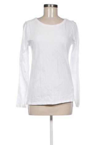 Damen Shirt Sinsay, Größe XL, Farbe Weiß, Preis € 9,44