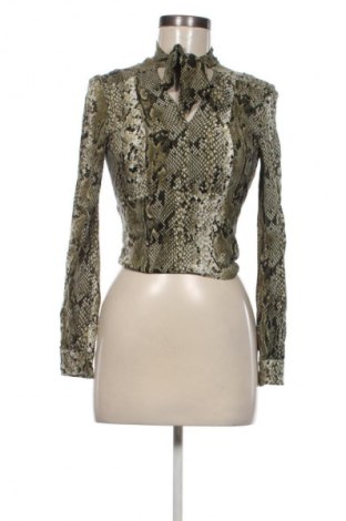 Damen Shirt Stradivarius, Größe S, Farbe Mehrfarbig, Preis € 5,99