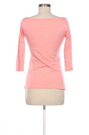 Damen Shirt Terranova, Größe M, Farbe Rosa, Preis € 9,99