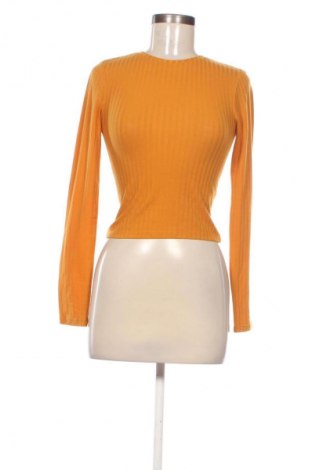 Damen Shirt Terranova, Größe XS, Farbe Orange, Preis € 10,99