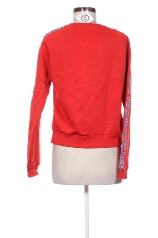 Damen Shirt Tommy Hilfiger x Gigi Hadid, Größe S, Farbe Mehrfarbig, Preis 27,99 €