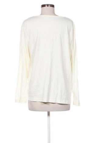 Dámská halenka Unbranded, Velikost XXL, Barva Krémová, Cena  275,00 Kč