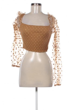 Dámska blúza Unbranded, Veľkosť XL, Farba Hnedá, Cena  7,95 €