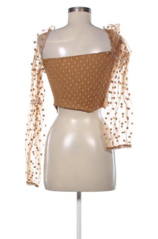 Dámska blúza Unbranded, Veľkosť XL, Farba Hnedá, Cena  7,95 €