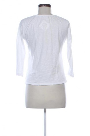 Damen Shirt Unbranded, Größe XL, Farbe Mehrfarbig, Preis € 9,99