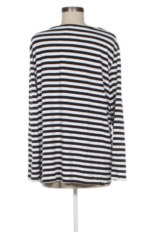 Damen Shirt Via Appia, Größe XL, Farbe Mehrfarbig, Preis € 12,99