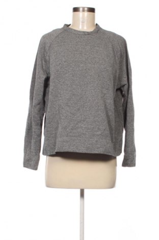 Damen Shirt Zara, Größe M, Farbe Grau, Preis € 8,99