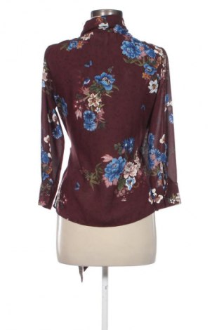 Damen Shirt Zara, Größe XS, Farbe Mehrfarbig, Preis 18,70 €