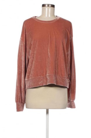 Damen Shirt Zara, Größe L, Farbe Aschrosa, Preis 11,99 €