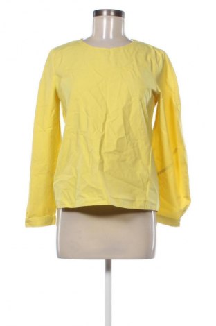 Damen Shirt Zara, Größe S, Farbe Gelb, Preis € 14,00