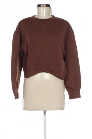 Damen Shirt Zara, Größe S, Farbe Braun, Preis € 6,99