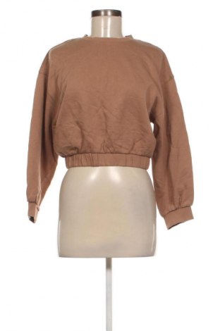 Damen Shirt Zara, Größe L, Farbe Braun, Preis 9,99 €