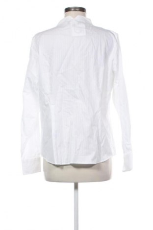 Dámska košeľa  Adagio, Veľkosť XL, Farba Biela, Cena  9,95 €