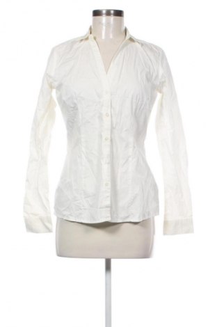 Damenbluse Body Flirt, Größe S, Farbe Ecru, Preis 6,99 €