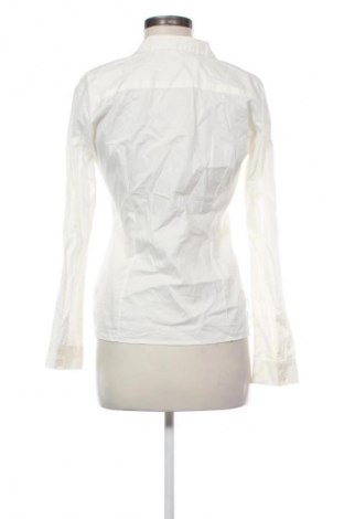 Damenbluse Body Flirt, Größe S, Farbe Ecru, Preis 6,99 €