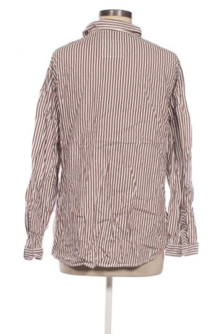 Damenbluse Cecil, Größe XL, Farbe Mehrfarbig, Preis 15,99 €