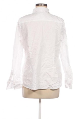 Γυναικείο πουκάμισο Erfo, Μέγεθος XL, Χρώμα Λευκό, Τιμή 11,99 €