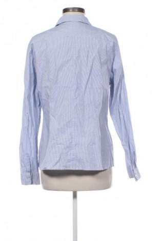 Damenbluse Esmara, Größe XL, Farbe Mehrfarbig, Preis € 8,99