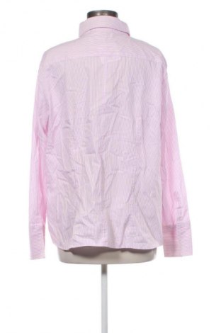 Damenbluse Eterna, Größe XXL, Farbe Mehrfarbig, Preis € 22,99