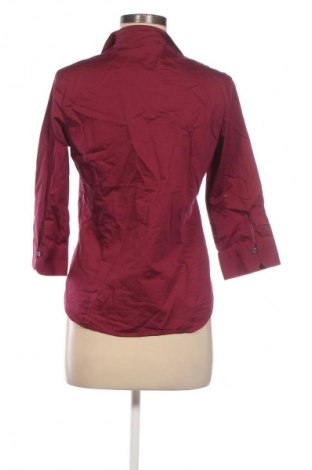 Γυναικείο πουκάμισο Franco Callegari, Μέγεθος S, Χρώμα Βιολετί, Τιμή 7,99 €