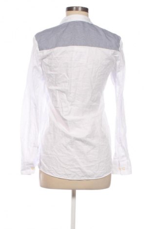 Dámská košile  Galvanni, Velikost M, Barva Vícebarevné, Cena  419,00 Kč