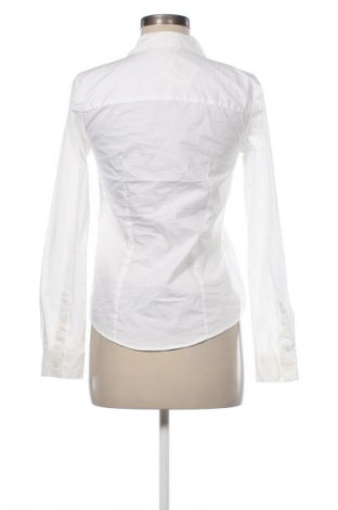 Damenbluse H&M, Größe S, Farbe Weiß, Preis € 11,99