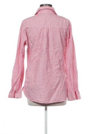 Damenbluse Livre, Größe L, Farbe Mehrfarbig, Preis € 5,99