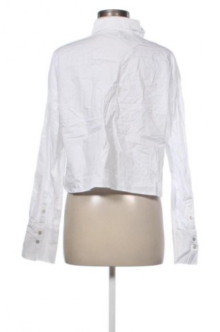 Damenbluse Mango, Größe XL, Farbe Weiß, Preis € 12,99