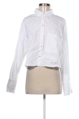 Damenbluse Mango, Größe XL, Farbe Weiß, Preis € 12,99