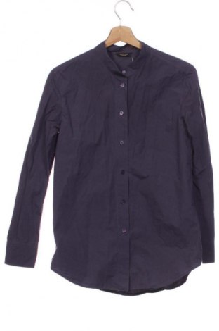 Damenbluse Massimo Dutti, Größe XS, Farbe Aschrosa, Preis € 26,99