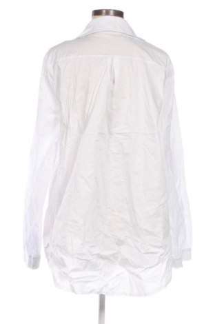 Damenbluse My Hailys, Größe XXL, Farbe Mehrfarbig, Preis € 6,99