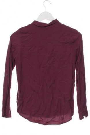 Damenbluse Sinsay, Größe XS, Farbe Lila, Preis € 5,99