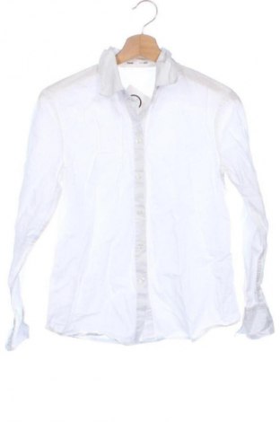 Damenbluse Sinsay, Größe XXS, Farbe Weiß, Preis € 12,85