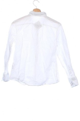 Damenbluse Sinsay, Größe XXS, Farbe Weiß, Preis € 12,85