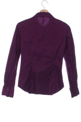 Damenbluse Terranova, Größe S, Farbe Rosa, Preis 12,77 €