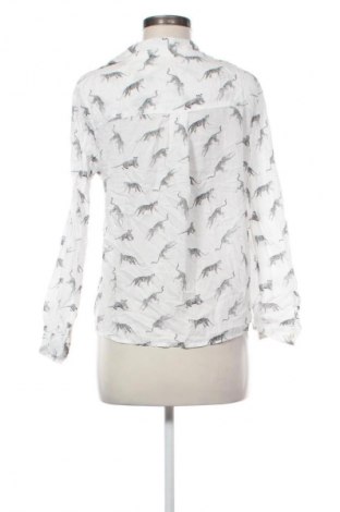 Dámská košile  Tex, Velikost M, Barva Vícebarevné, Cena  189,00 Kč