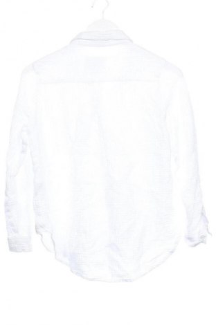 Damenbluse Velvet Heart, Größe L, Farbe Weiß, Preis € 9,99